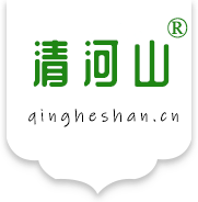 武漢小榕樹(shù)科技